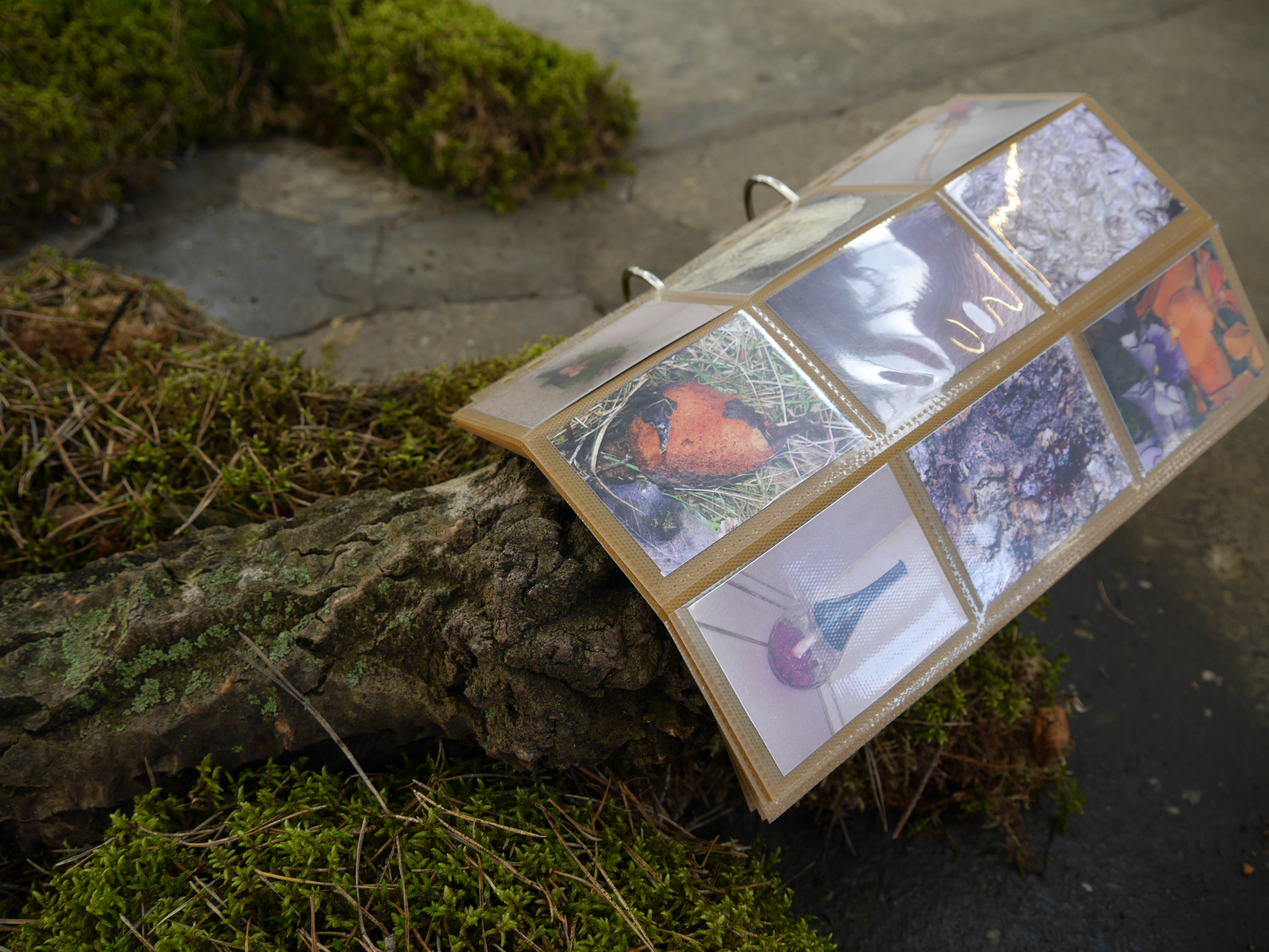 2019 05 Cursed Images, C Rockefeller, Dresden — Folder (Detail) 2019 By Johanna Blank — Jeronim Horvat